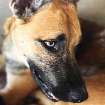 Thumbnail photo of Journey #2