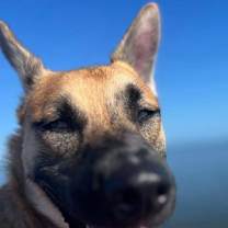 Thumbnail photo of Journey #3