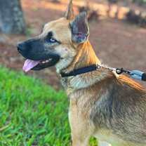 Thumbnail photo of Journey #4