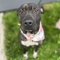 Thumbnail photo of Bethy #3