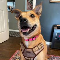 Thumbnail photo of Bronwyn #1