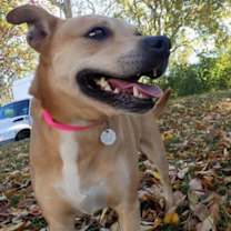 Thumbnail photo of Bronwyn #3