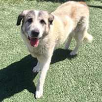 Thumbnail photo of Nana #2