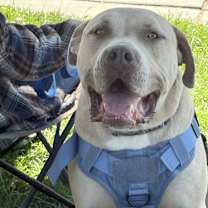 Thumbnail photo of Monte #2