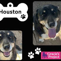 Thumbnail photo of Houston #2