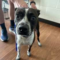 Thumbnail photo of iCarly #1