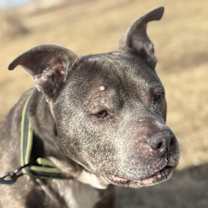 Thumbnail photo of Memaw #4