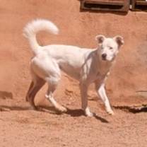 Thumbnail photo of FROSTY #1