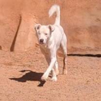 Thumbnail photo of FROSTY #3