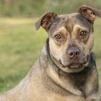 Thumbnail photo of Mary Livingston #1