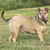 Thumbnail photo of Mary Livingston #4