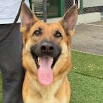 Thumbnail photo of Mena #2