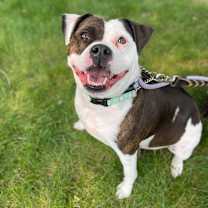 Thumbnail photo of Fefe #4