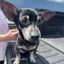 Thumbnail photo of Gapy #3