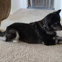 Thumbnail photo of Tango #2