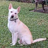 Thumbnail photo of Gunner #1