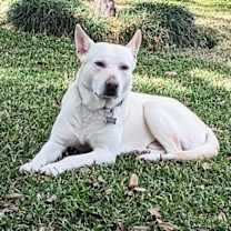 Thumbnail photo of Gunner #2