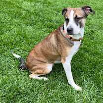 Thumbnail photo of Travis #4