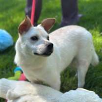 Thumbnail photo of Tiana #2