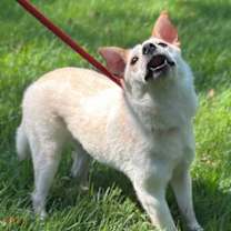 Thumbnail photo of Tiana #3