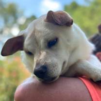 Thumbnail photo of Tiana #1