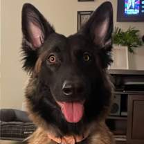 Thumbnail photo of Kita Maple #1