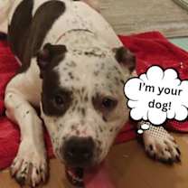 Thumbnail photo of Luna #1