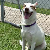 Thumbnail photo of Oakland  #2