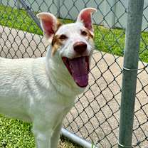 Thumbnail photo of Oakland  #3