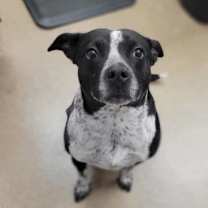 Thumbnail photo of Fergie #1