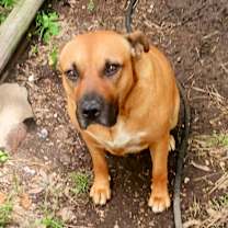 Thumbnail photo of Crystal #1