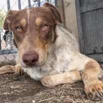 Thumbnail photo of TARZAN #3