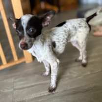 Thumbnail photo of Latte #4