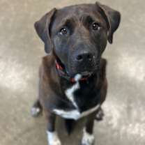 Thumbnail photo of Nina #2