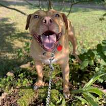 Thumbnail photo of Mandala #2