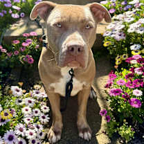 Thumbnail photo of El Roy #2