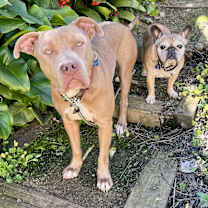 Thumbnail photo of El Roy #3