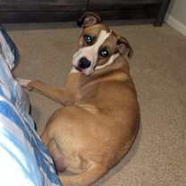 Thumbnail photo of Hank #1