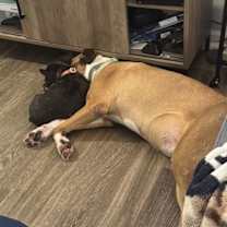 Thumbnail photo of Hank #2