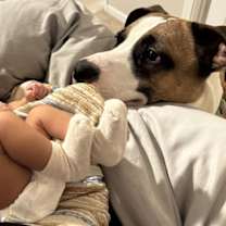 Thumbnail photo of Hank #3