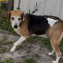 Thumbnail photo of Max #2