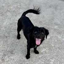 Thumbnail photo of Thelma #1