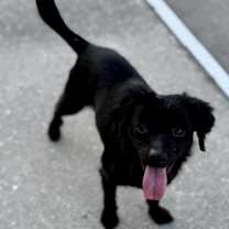 Thumbnail photo of Thelma #2