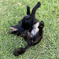 Thumbnail photo of Thelma #3