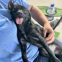 Thumbnail photo of Thelma #4