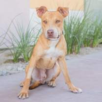 Thumbnail photo of Helios #2