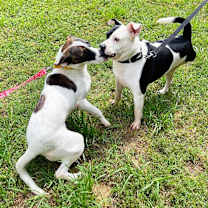 Thumbnail photo of Daisie Duke #2