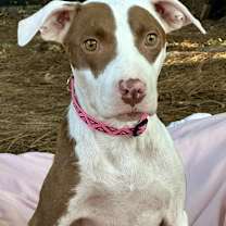 Thumbnail photo of Effie #3