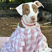 Thumbnail photo of Effie #4