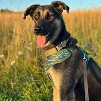 Thumbnail photo of Heidy #2